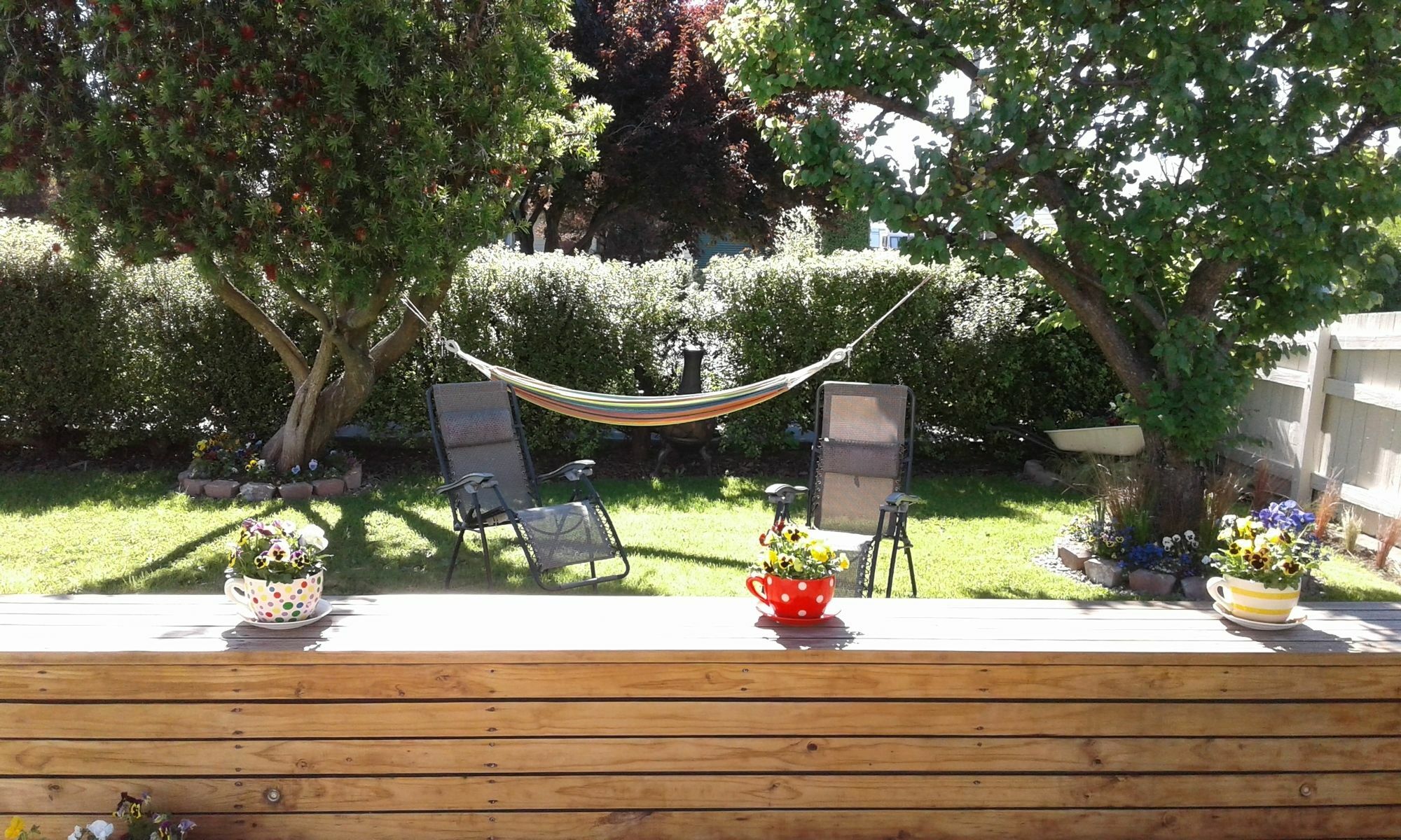 Coeden Cottage Blenheim Exterior foto